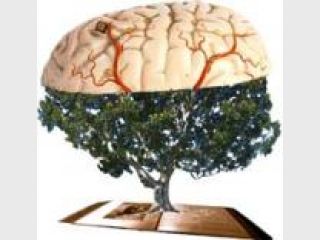 ����������: ����������� �������?