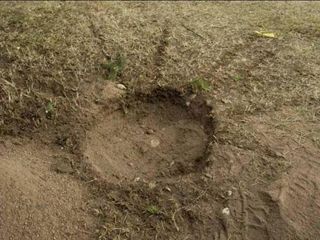 ����� ������ � ������ ��������� ������ ����������, ���������� �� ������������