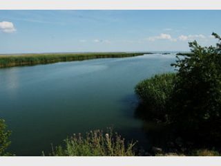 �������������� �������, ��������� ��������������, ��������� ���������