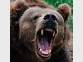 ������� ������ �������