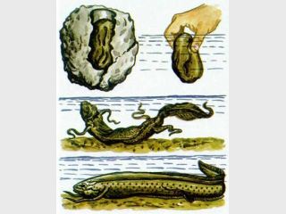 ���� ��������� ������������ ������� ������������� ��������� ������� ��������� ���������