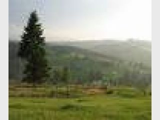 ���� ����� ��������: �� �������� �������