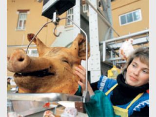 ������� ������� �� ����� ���� ������ ��������