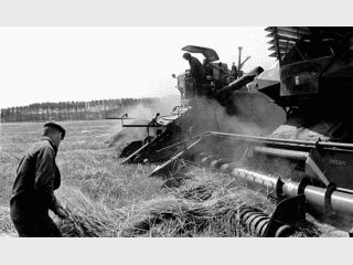 ���� ��������� �������� �������������� ������ ������� ��� ���������