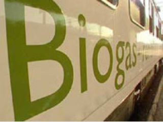 ������ �� ���� ������!