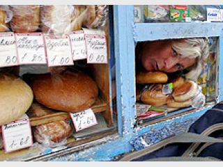 ����� ������������ ��������� ���� 