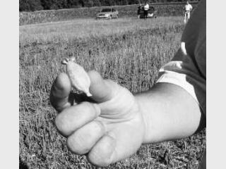 100-��������� ������� ���� ������������� ����� &mdash; 