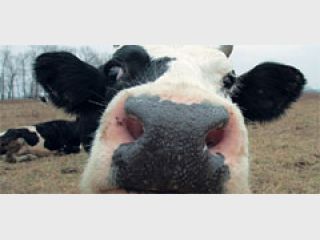 ������������ �������� ��������� ����� �������� ��������