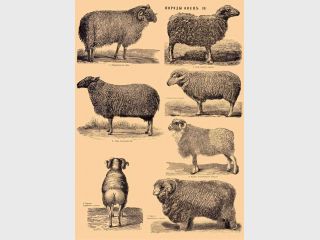 �������� ������ ��������� � ���, ��� �������, ����� ��������� 