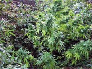 ���������� ������� ��������������� ����� ������� 2500 ������ �������, �� ������� ��������