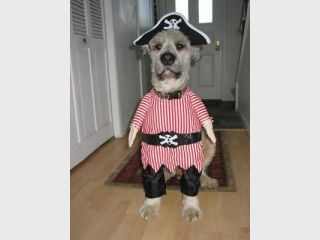 �������� ��� ���������� ����������