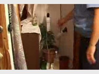 � ������� ����������� ���������� ��������� � ����� �������