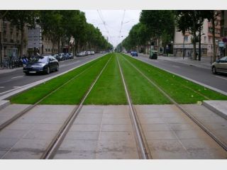 � ������ �� ���������� ����� ����� ���� �������