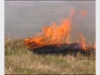 ������ �������� ������ �� ����� &mdash; ��� ������������