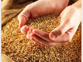 ���������� �� � ������� ������� ��������������?