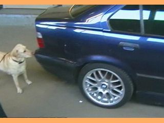 �������� �������� ������� � ������� ��������� � �����