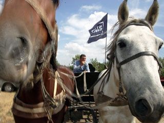 � ����� ������� ��������� 