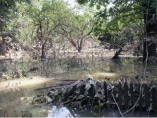 ���������� �������� ��-�� ������ ������� �� 39 �������