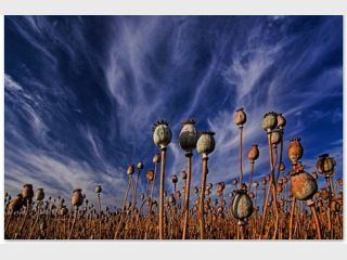 ������� �������� ��������� �� ������������ � ������ ������� � ��������