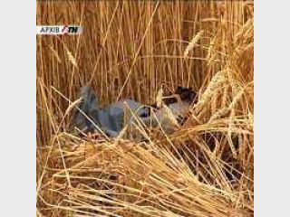 ���������� �������� ��������� 