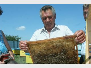 ������� ������ ��������� ��������, � ��������� ����� ������� � �����