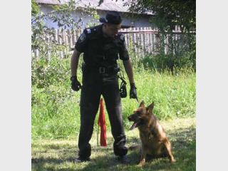 ������������ ��������� ���������� 