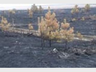 ����� �� ������� ������ � �������� ������ ����������� ������� �������� 30 ���. ������