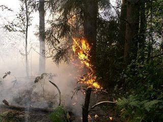 ���: ������������� �������� ��� ��������� ��-�� �������� �������