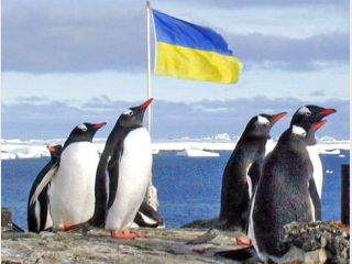 � ������� ����� ������ ������� �����������