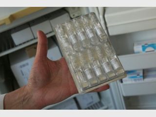 ������� ������ ���� � �������� ������������� ����������� ���