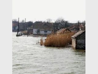 ������� ���������� ���� �������� ������� ������������ �� ����������