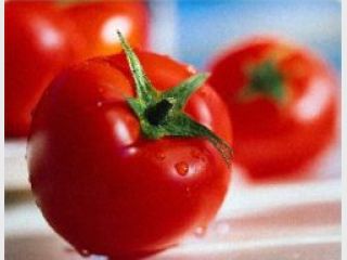 ������ ���������� ������ ���������� ���������