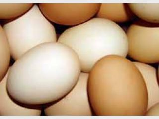 ������� ��������� � ������������