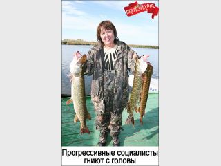 �������� ������ ����������� ���������� ������� ������������ ���������