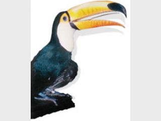 �� ������������ �������� ���������� 