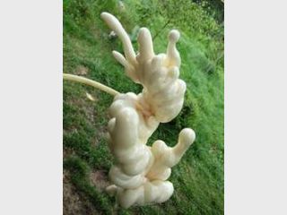 ���������� �� ������� ��������: 