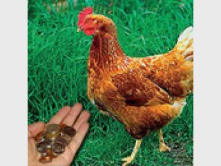 ������ ������� � ������� ���������