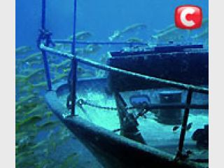 � ������ ���� ������� 40 ���������� ��������