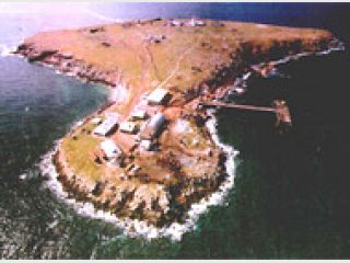 �쳿��� �� ����� ����������