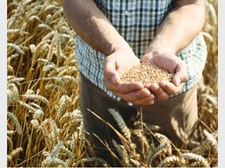 � ������ �� ������, ��� ��� ������ �������������?