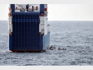 ������������ ������� 