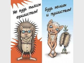 ���������� ���� ������ �������������� � �� ������, ��� ������