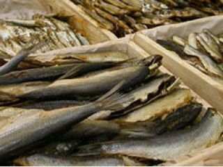 ������ ��������� � ������� �� �������� ������