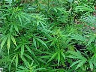 ������ �������� ��������� 