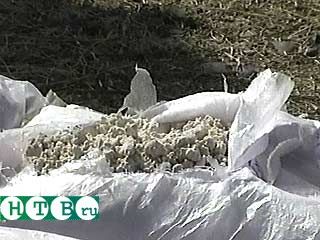 � ���� �������� ������ �������� ������� �������