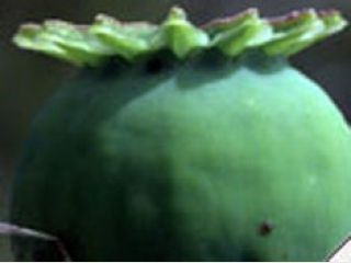 � ����� ��������� ������� �����������