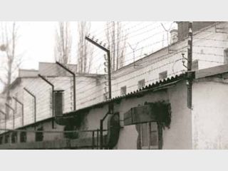 � ������ ����������� 50 ����