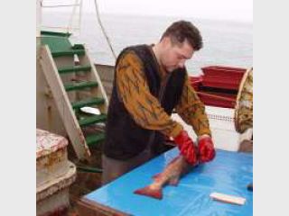 ���� ����� �� �����