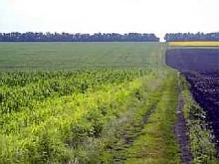 ������ ������� ������� ����������� ���� �� ������ ��������� �� ������� ������������