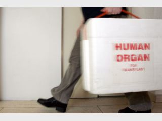 �������������� ��������� �������� ������� �����